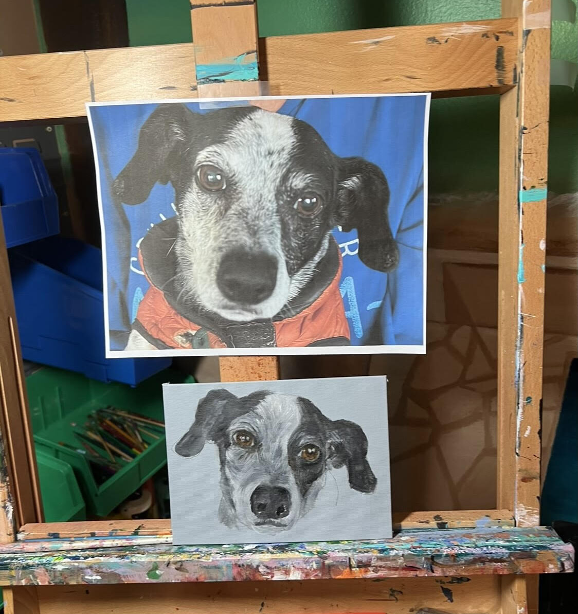 dogs