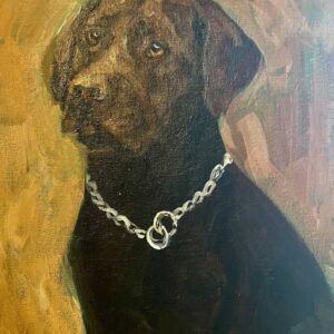 Brown labrador